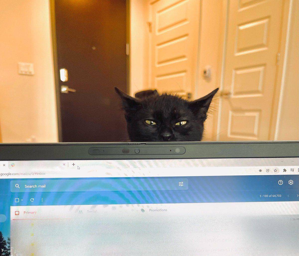 Daily Pictures. Part 1 (83 pics)