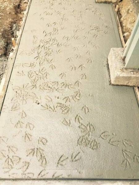 Daily Pictures. Part 1 (83 pics)