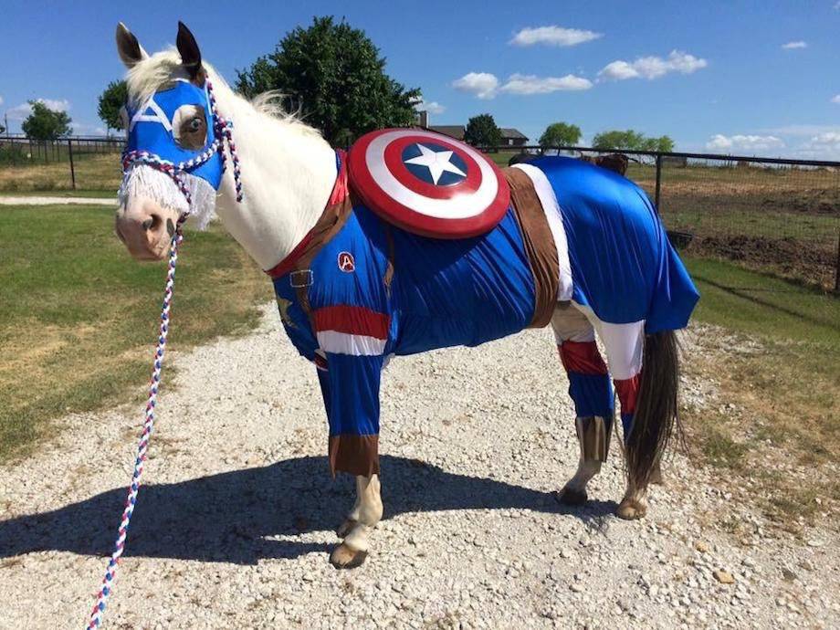 Daily Pictures. Part 2 (82 pics)