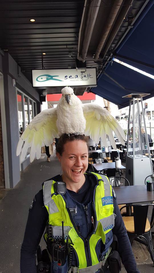 Daily Pictures. Part 1 (83 pics)