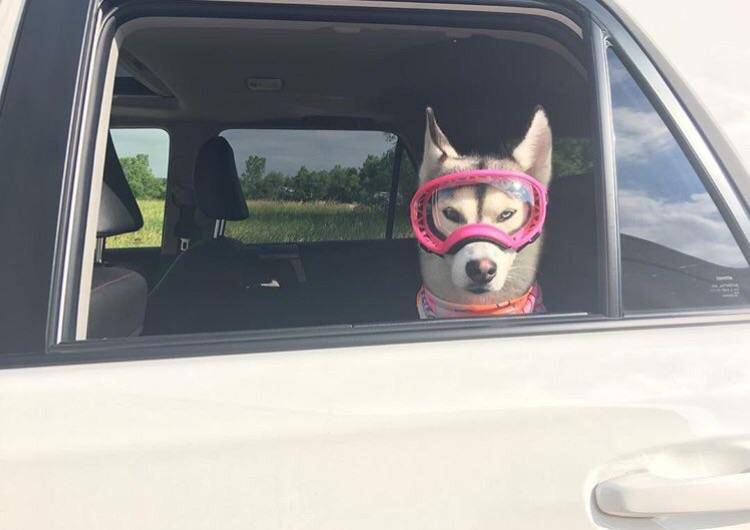 Daily Pictures. Part 1 (83 pics)