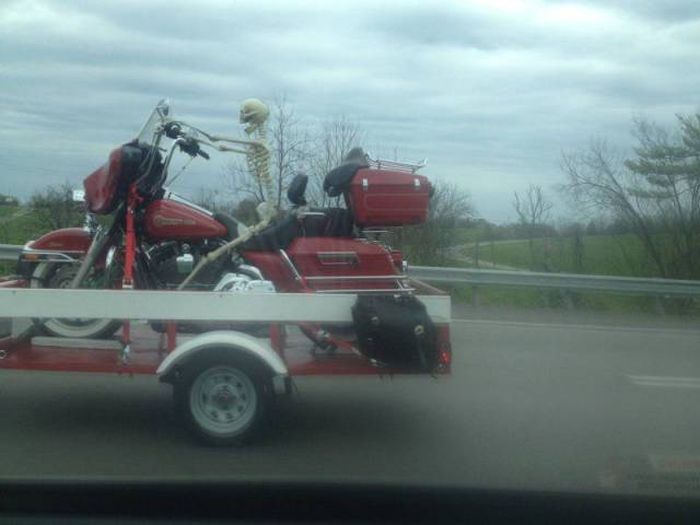 Daily Pictures. Part 1 (83 pics)