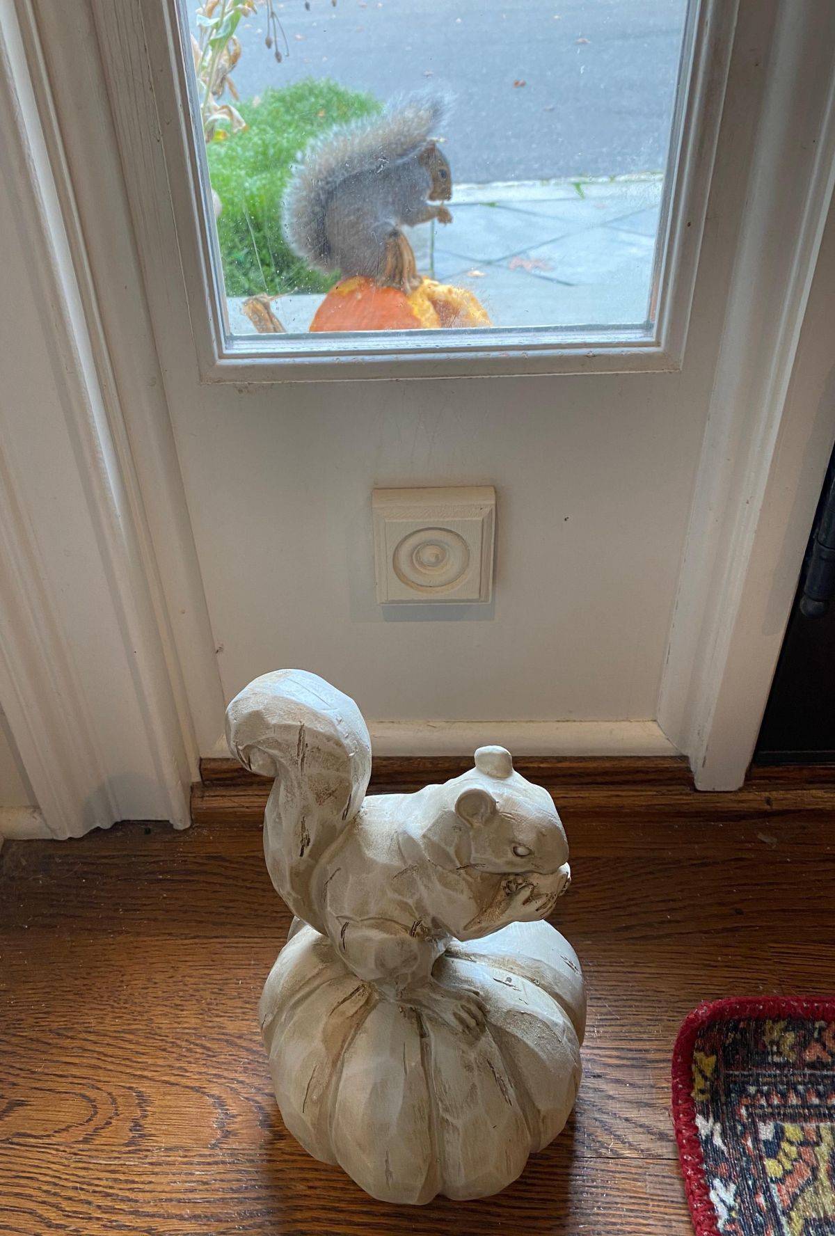 Daily Pictures. Part 1 (83 pics)