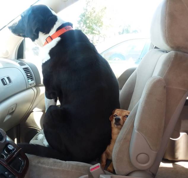 Daily Pictures. Part 1 (83 pics)