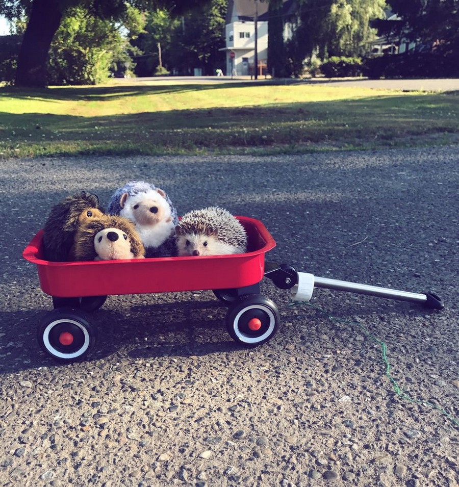 Daily Pictures. Part 2 (82 pics)