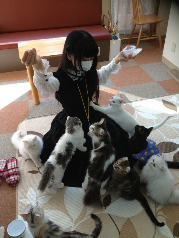 Daily Pictures. Part 1 (83 pics)