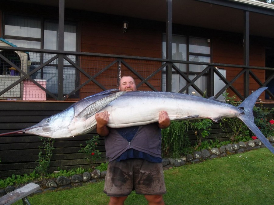 Daily Pictures. Part 2 (82 pics)