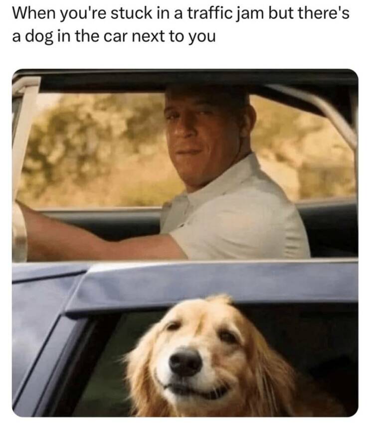 Daily Pictures. Part 2 (82 pics)