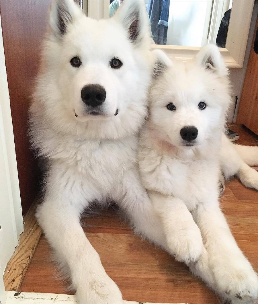 Daily Pictures. Part 2 (82 pics)