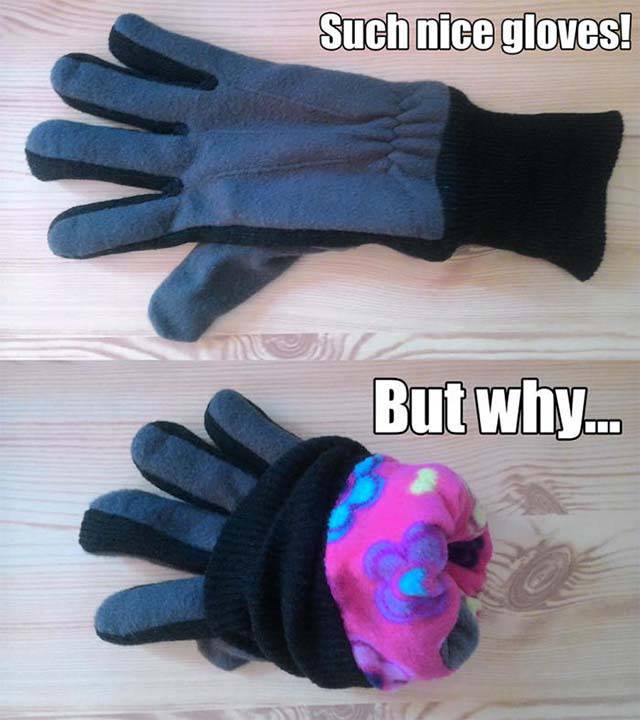 Daily Pictures. Part 2 (82 pics)