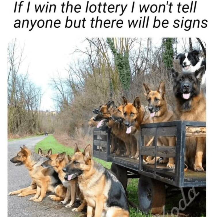 Daily Pictures. Part 2 (82 pics)