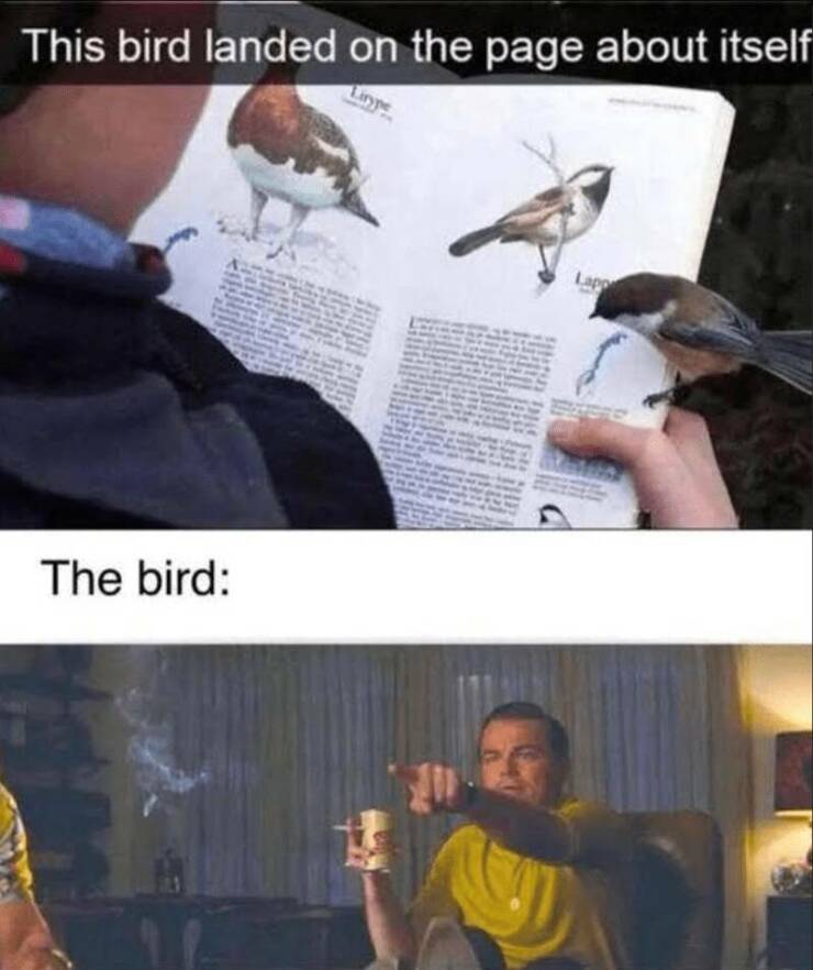 Daily Pictures. Part 2 (82 pics)