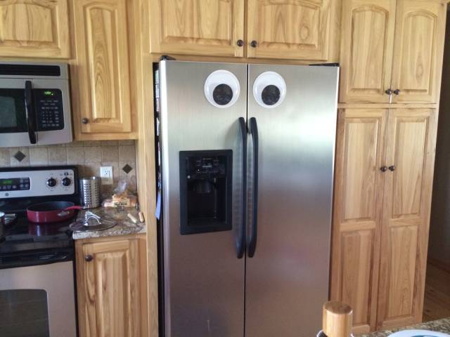 Daily Pictures. Part 2 (82 pics)