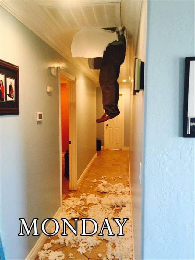 Daily Pictures. Part 2 (82 pics)