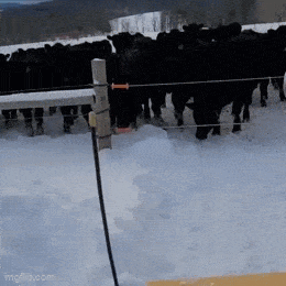 Acid GIFs, March 27 (25 gifs)