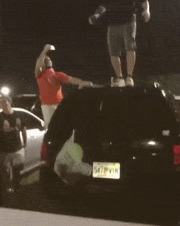 Acid GIFs, March 27 (25 gifs)