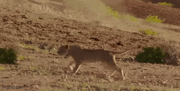 Acid GIFs, March 27 (25 gifs)