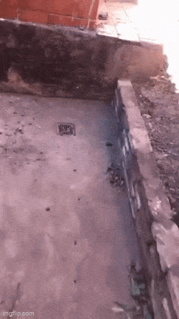 Acid GIFs, March 27 (25 gifs)