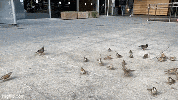 Acid GIFs, March 27 (25 gifs)