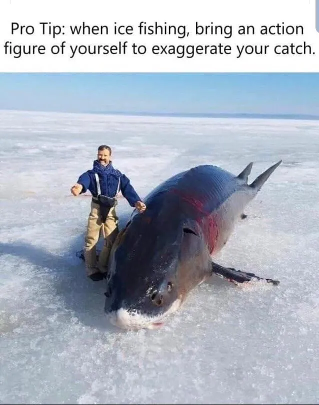 Random Jokes (29 pics)