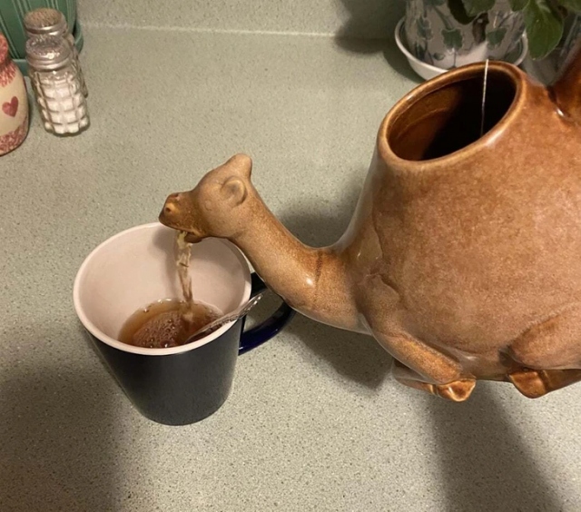 Failed Designs (14 pics)