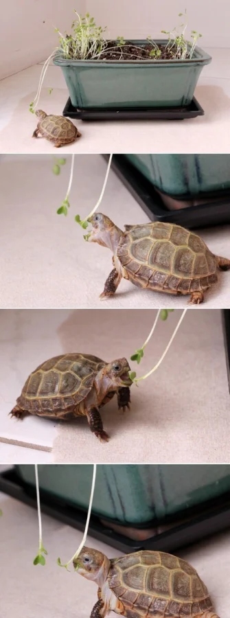 Cute Criminals (15 pics)