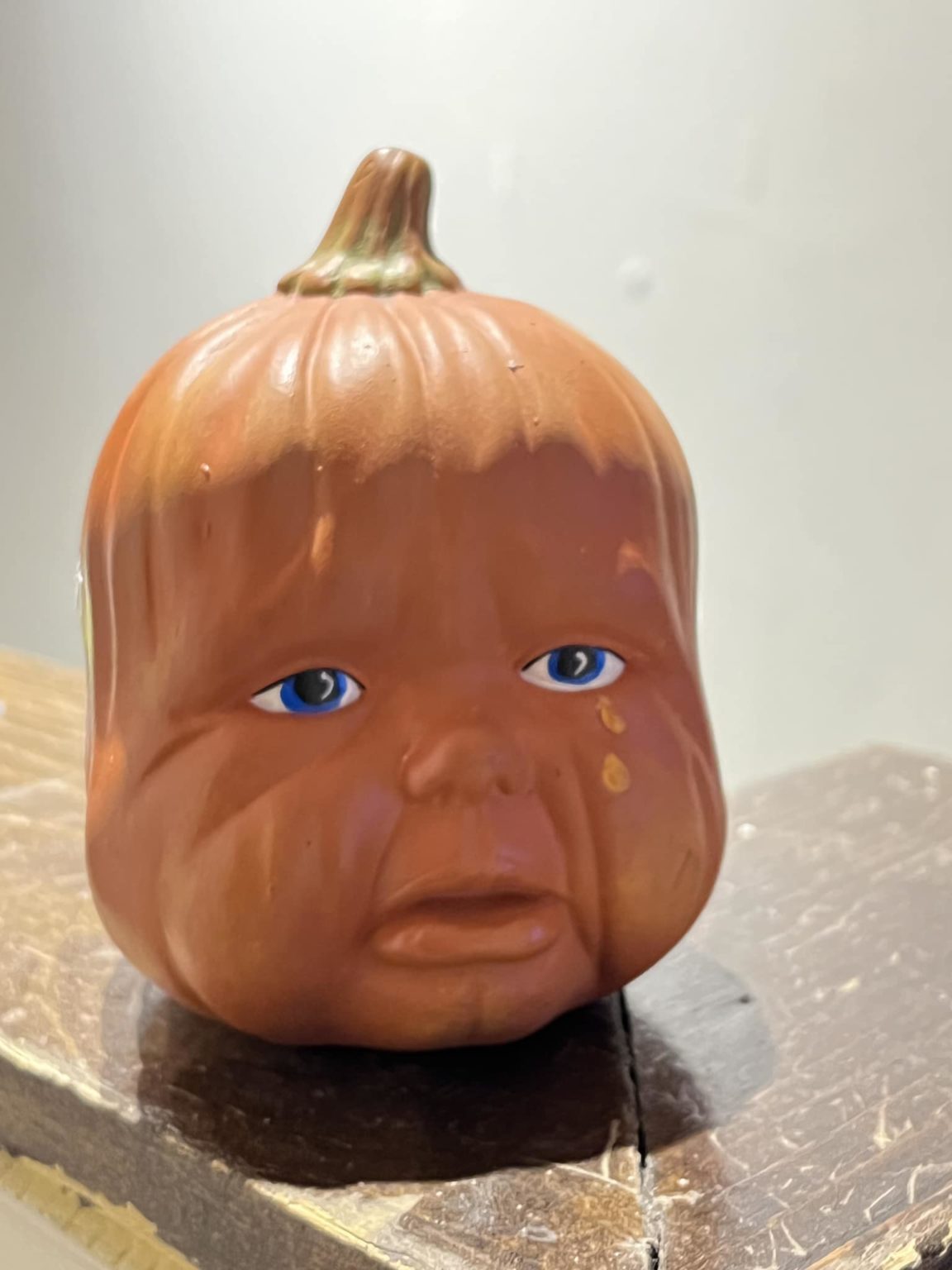 Creepy Finds In Thrift Shops (17 pics)