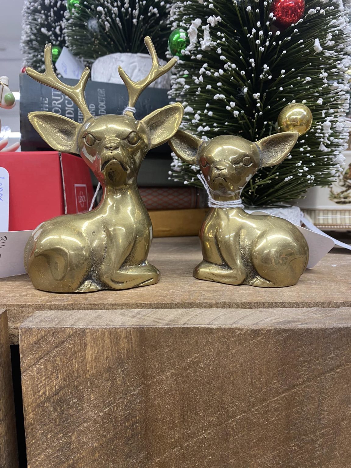 Creepy Finds In Thrift Shops (17 pics)