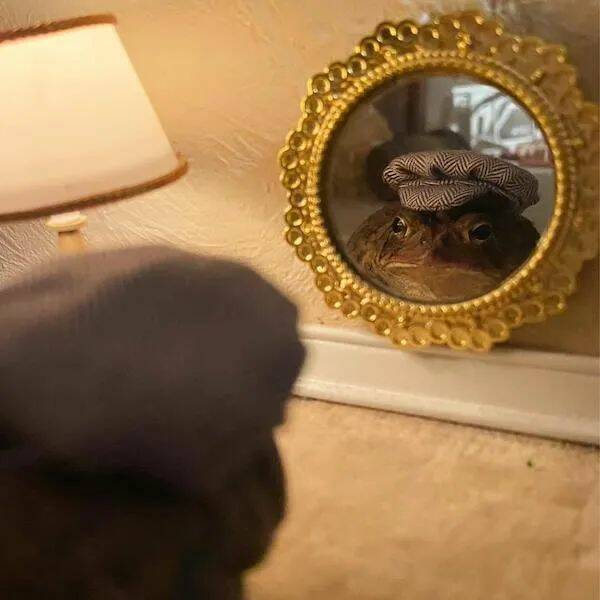 Daily Pictures. Part 1 (76 pics)