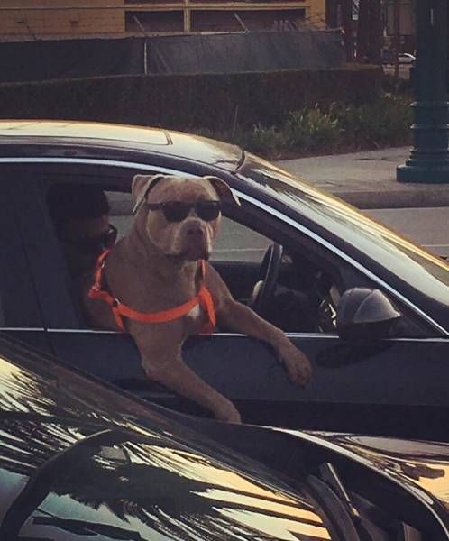 Daily Pictures. Part 2 (74 pics)