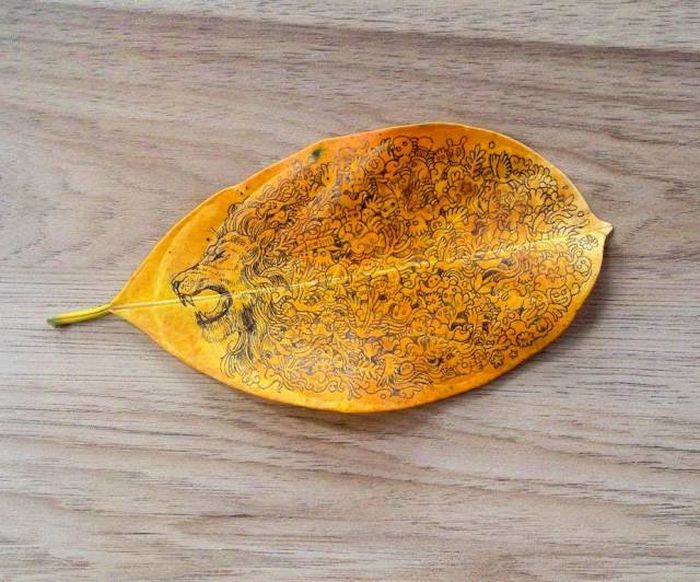 Daily Pictures. Part 2 (74 pics)