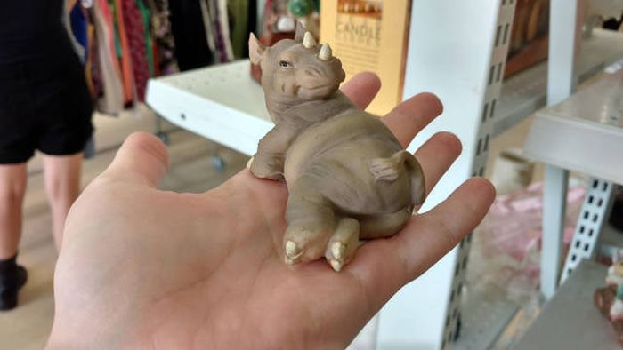 Daily Pictures. Part 2 (74 pics)