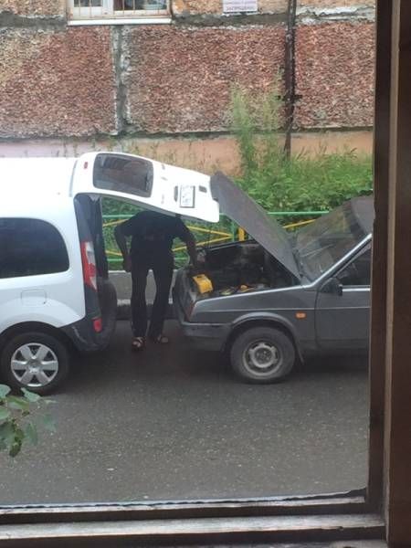 Daily Pictures. Part 2 (74 pics)