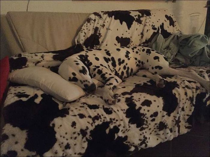 Daily Pictures. Part 2 (74 pics)