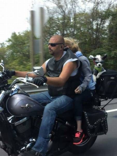 Daily Pictures. Part 2 (74 pics)