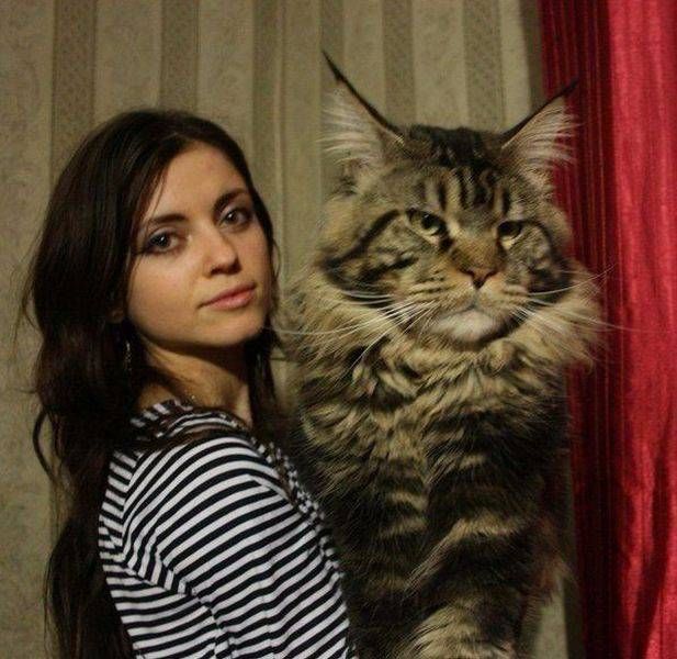 Daily Pictures. Part 2 (74 pics)