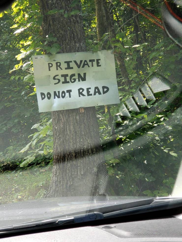 Daily Pictures. Part 2 (74 pics)