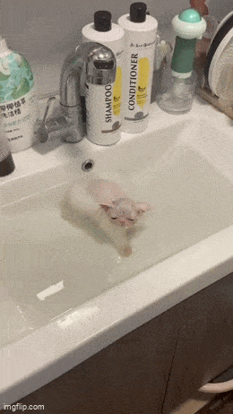 Acid GIFs, March 30 (25 gifs)