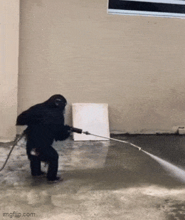 Acid GIFs, March 30 (25 gifs)