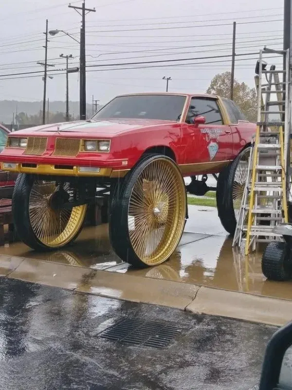 Crazy Cars (23 pics)