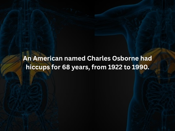 Creepy Facts (16 pics)