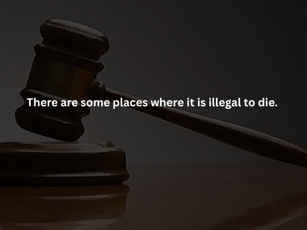 Creepy Facts (16 pics)