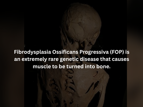 Creepy Facts (16 pics)