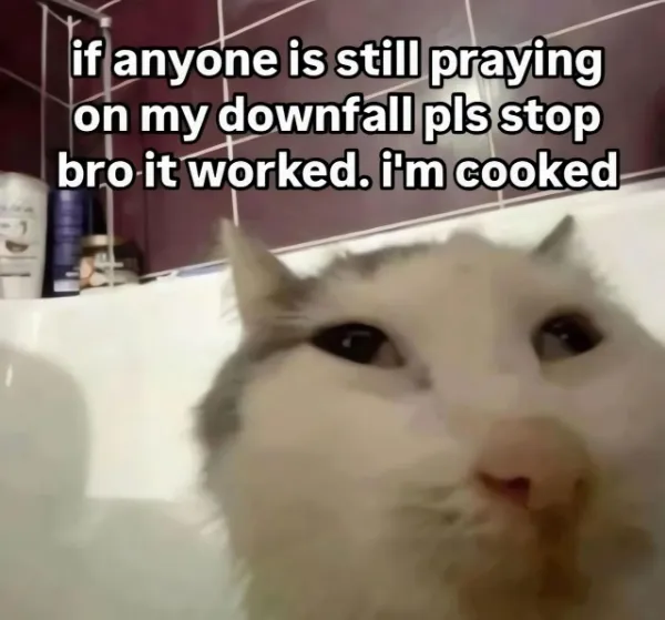 Hilarious Jokes (23 pics)