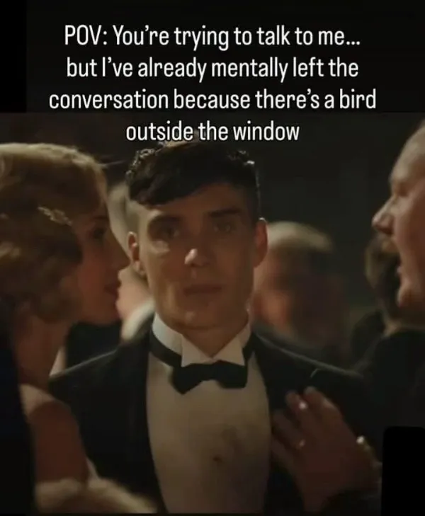 Hilarious Jokes (23 pics)