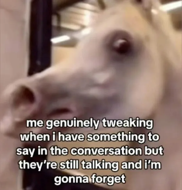 Hilarious Jokes (23 pics)