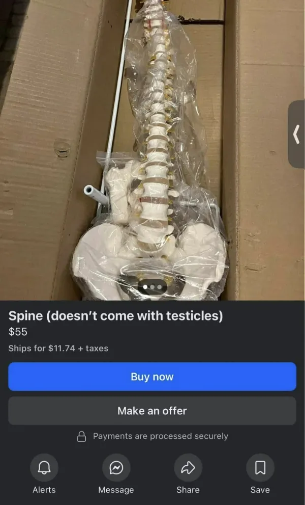 Hilarious Jokes (23 pics)