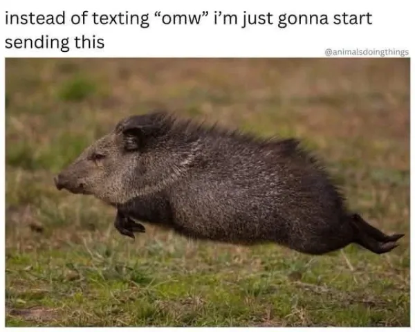 Hilarious Jokes (23 pics)