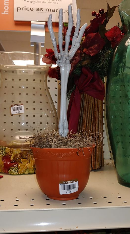 Weird Finds In Thrift Shops (15 pics)