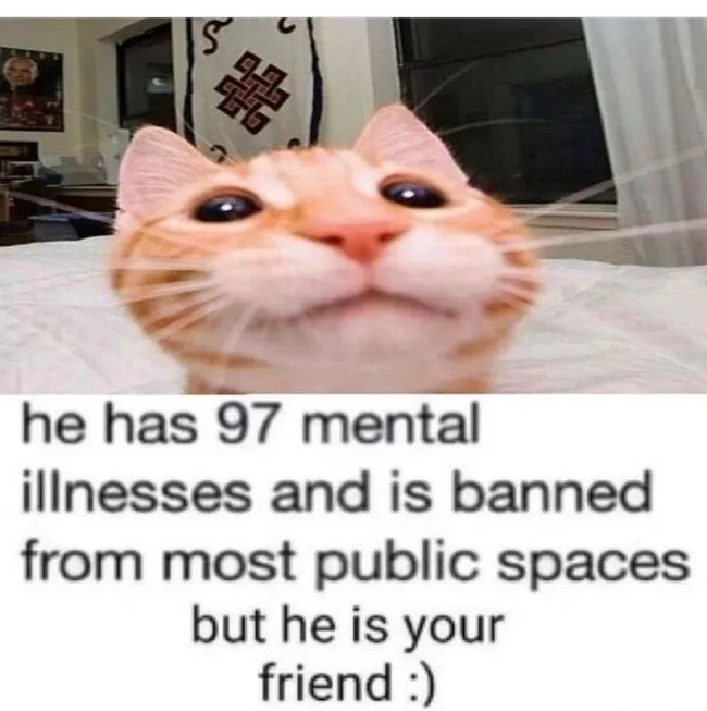 Memes For Cat Lovers (20 pics)